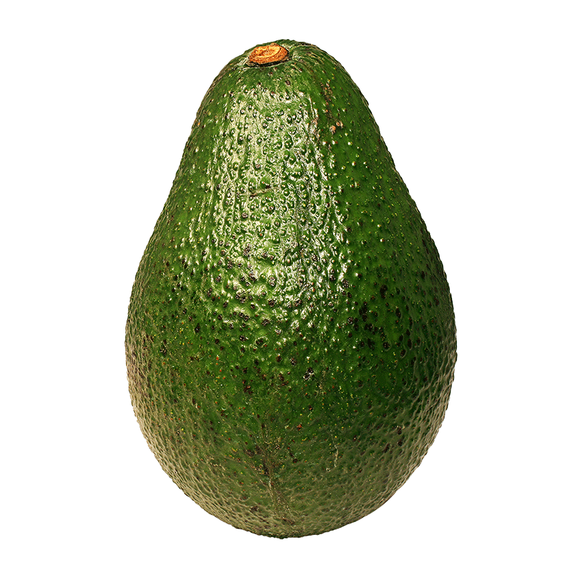  [NOT USE]